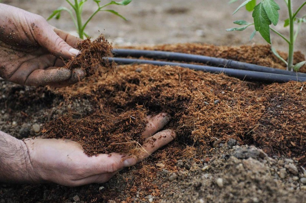 Что такое органические удобрения и их основные свойства, полезные для огорода