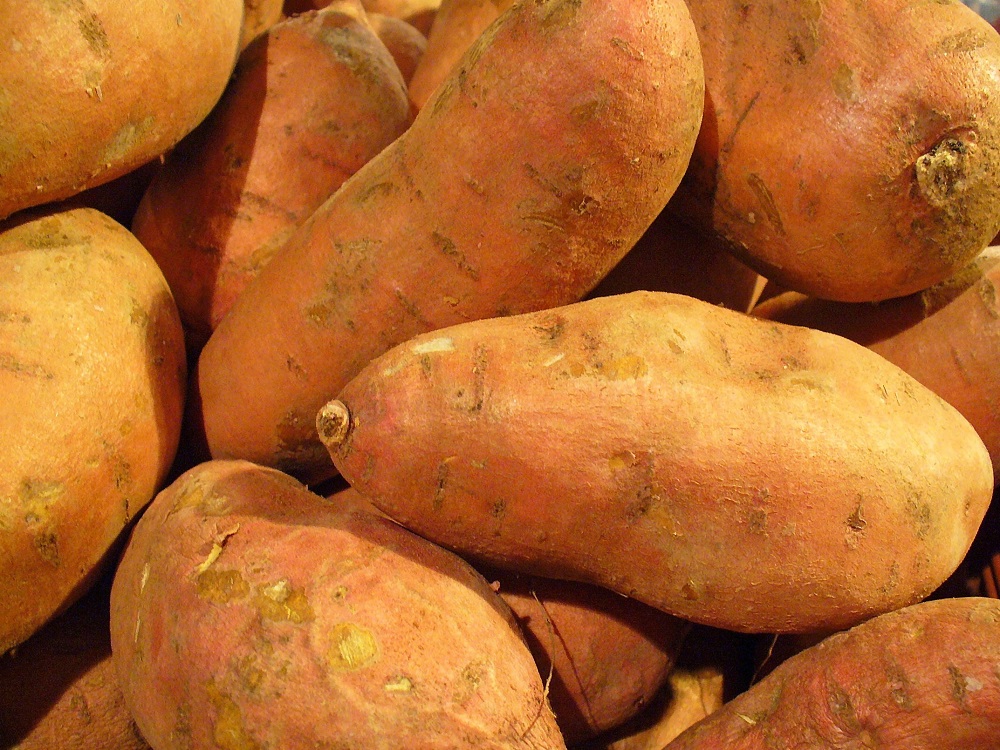 Картофель батат, его особенности, польза и что следует знать о выращивании