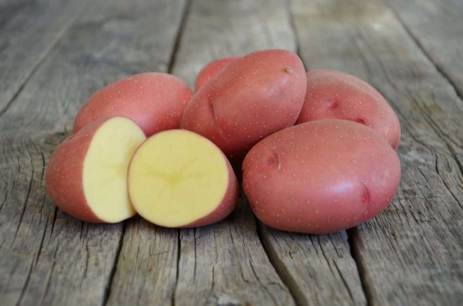 сорта картофеля с красной мякотью