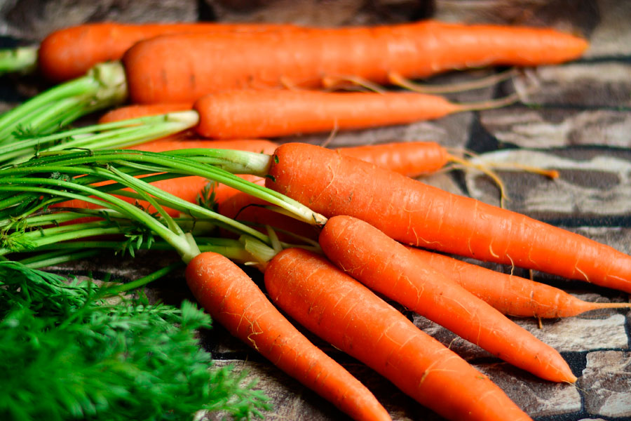 Почему горчит морковь: причины и способы улучшения вкусовых качеств корнеплода