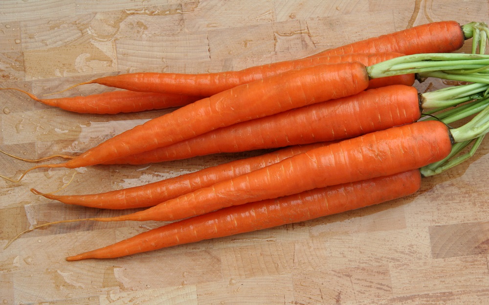 Сорта морковки: разновидности и их отличительные черты