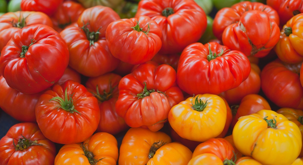 Чем отличается гибрид томата от сорта: разница и выбор лучшего решения