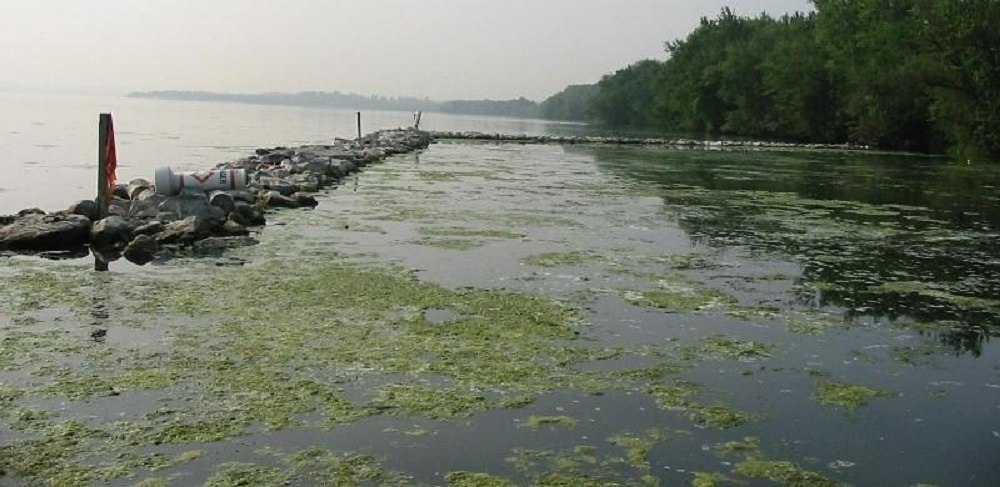 Самая опасная река в мире