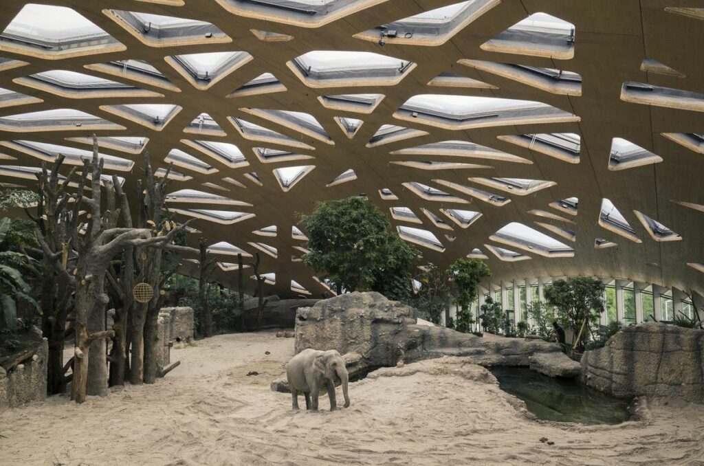 Топ зоопарков мира: самые интересные места